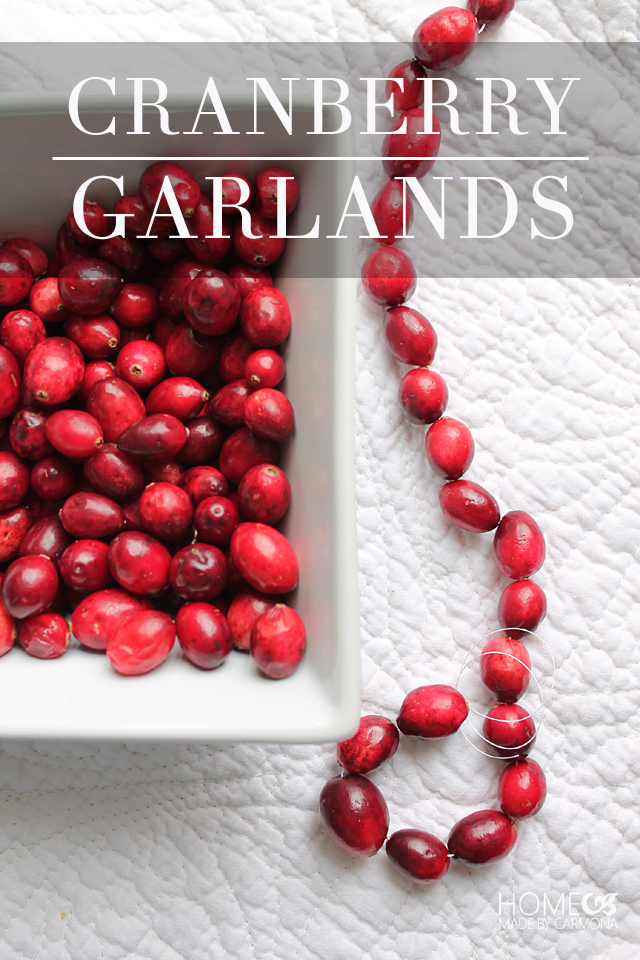 How to Make Cranberry Garland - Cook'n with Mrs. G