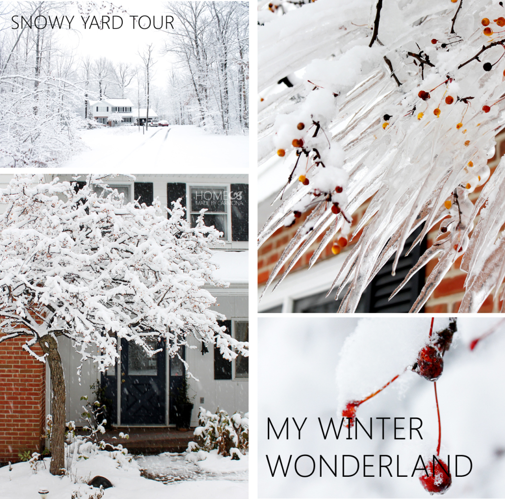 My Winter Wonderland yard tour