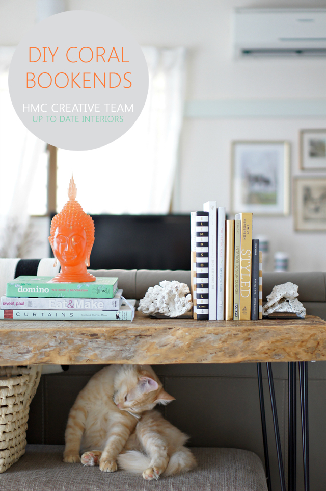 Stunning DIY Coral Bookends for 2 Dollars! | Up To Date Interiors for Home Made by Carmona