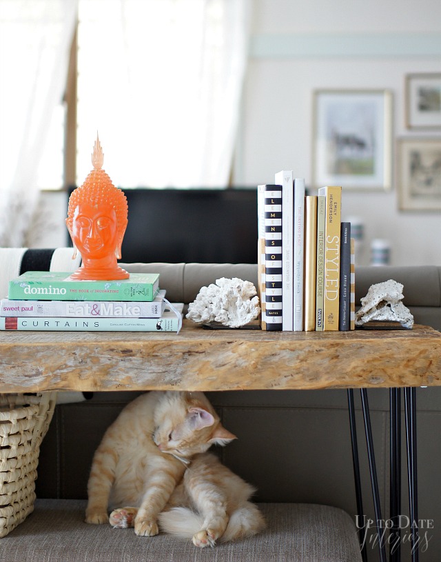 DIY Coral bookends, designer style | Up To Date Interiors