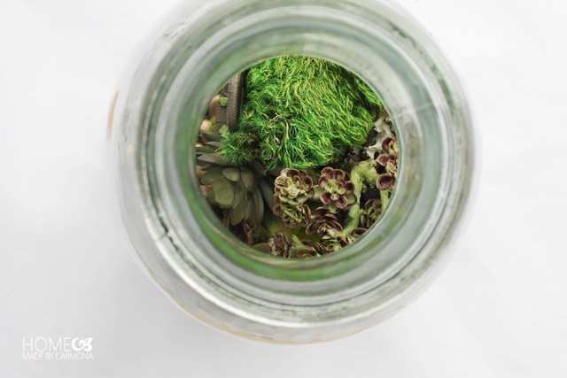 Terrarium Jar - moss and faux succulents