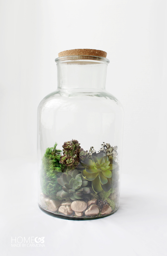 Terrarium in a Jar