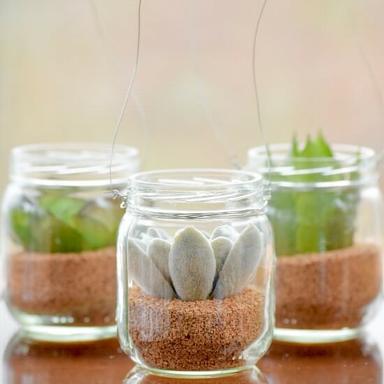 DIY-Hanging-Mini-Succulent-Jars
