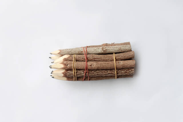 Branch and Twig Pencils from Amazon