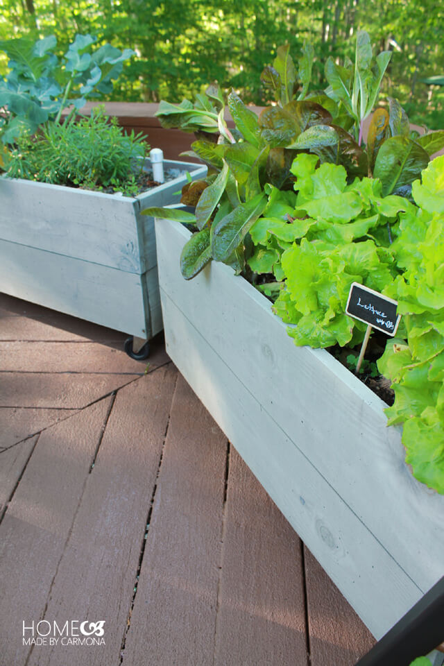 DIY Raised Beds on Wheels