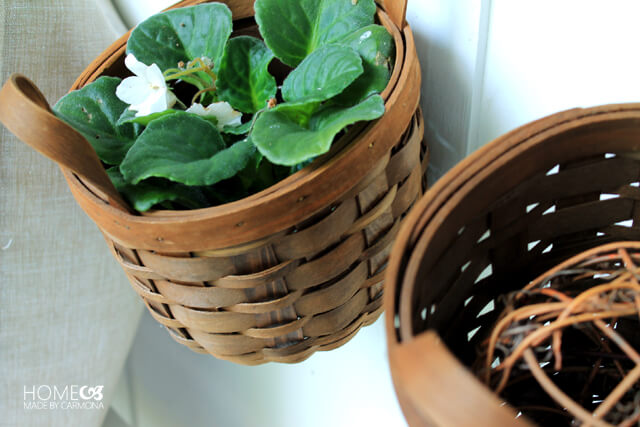 Plants kept in baskets