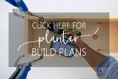 click-here-for-planter-build-plans