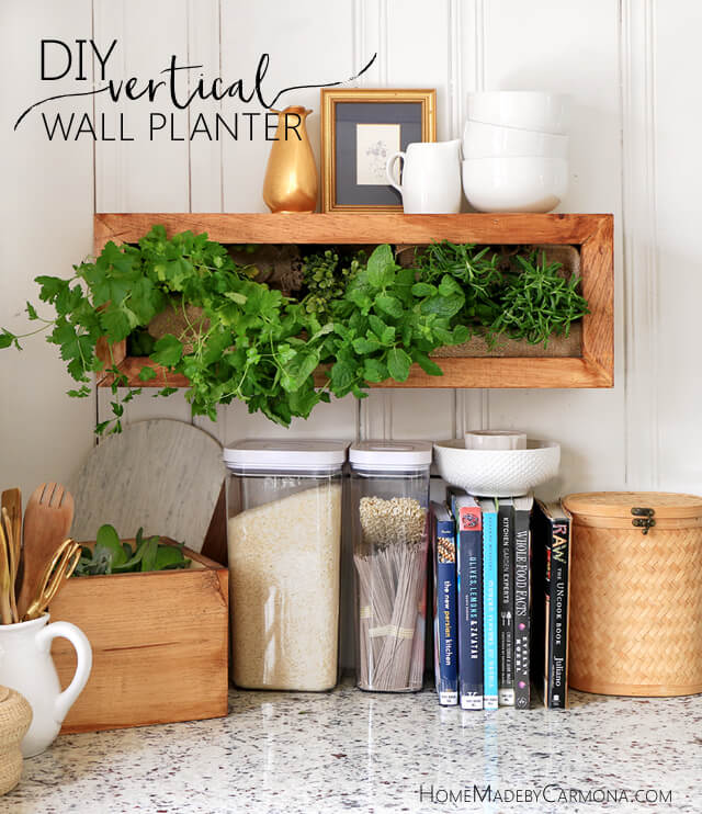 wall planters diy