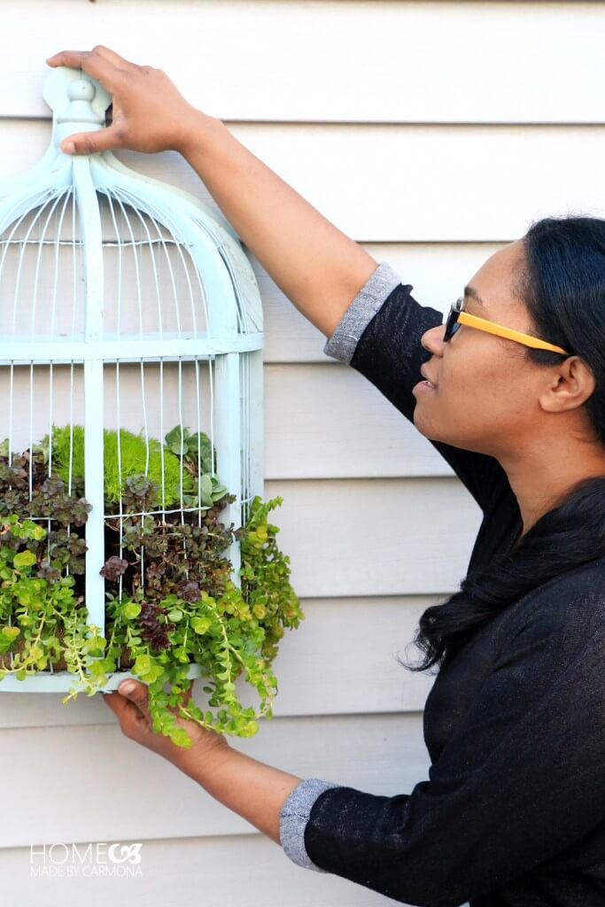 Bird cage planter