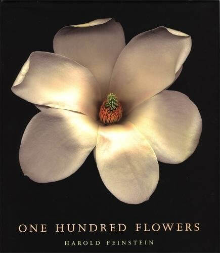 One Hundred Flowers - Harold Feinstein