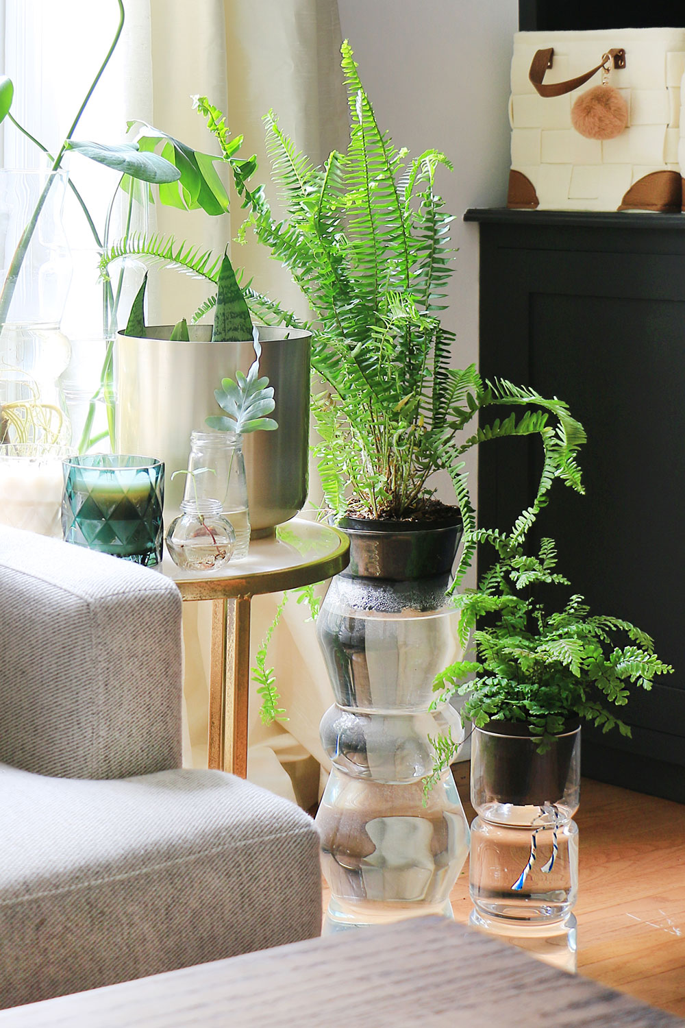 How to Water Your Indoor Herbs Using a Wick