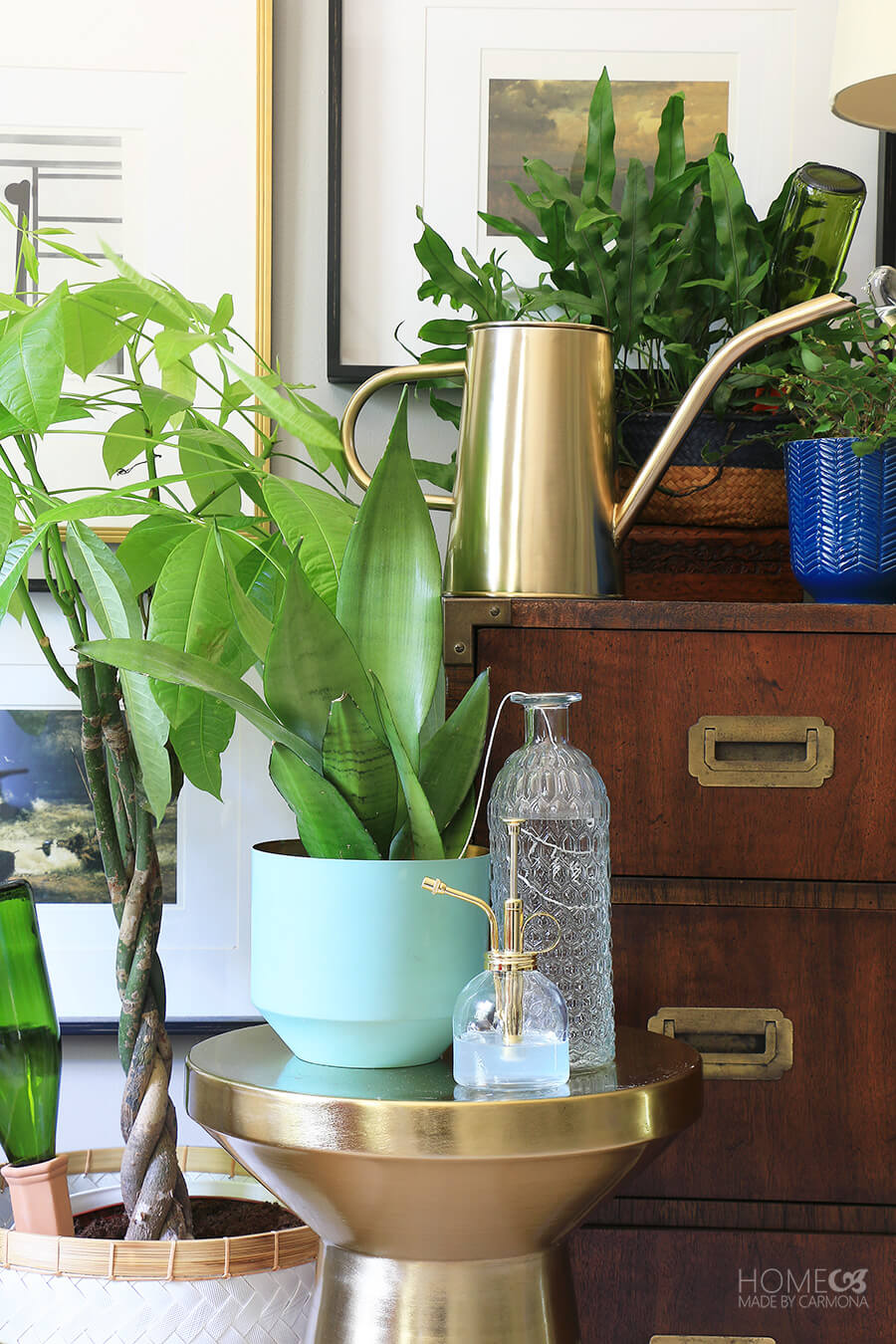 10 Ways To Keep Plants Watered On Vacation Home Made By Carmona