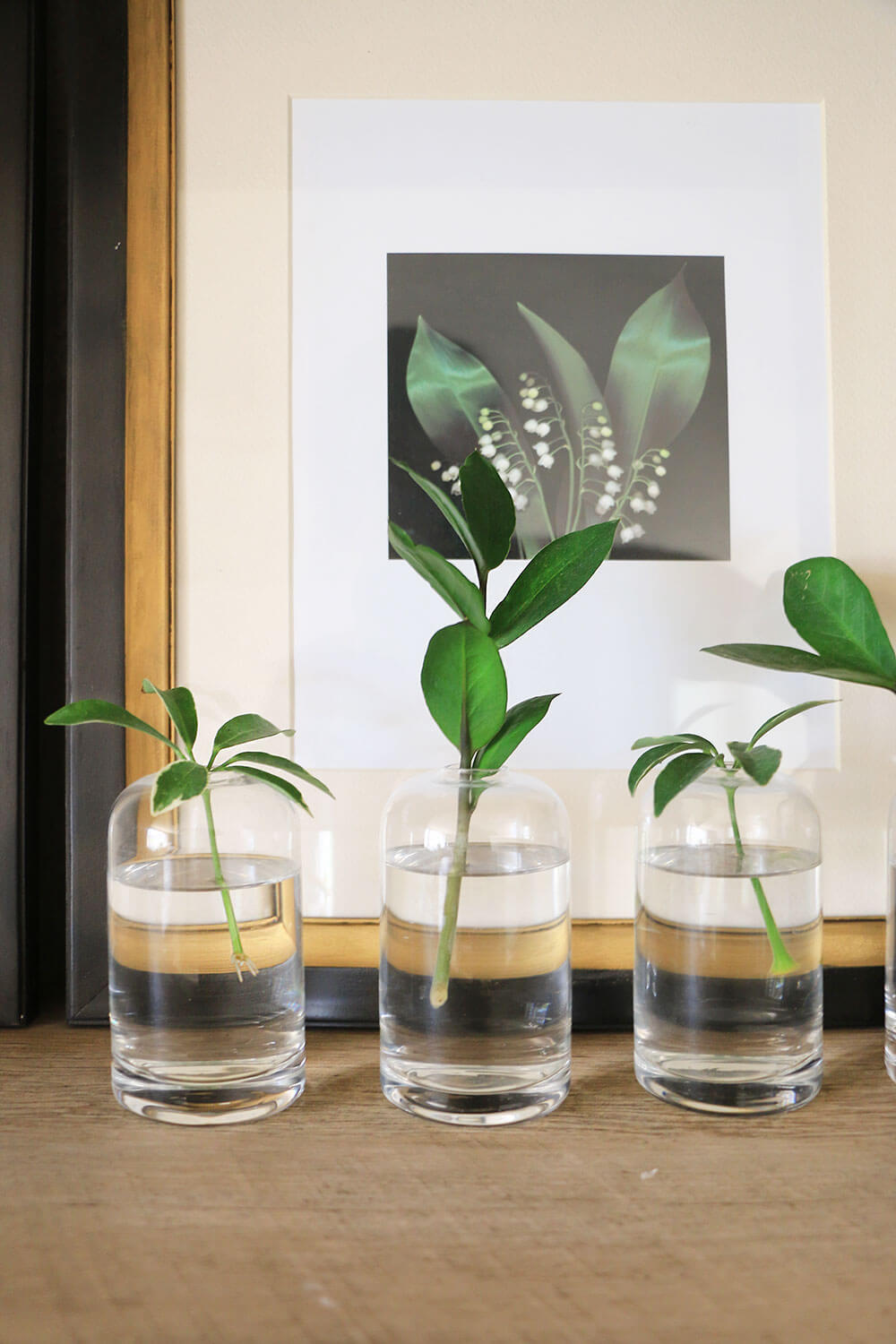 Bud-vases-with-plant-cuttings