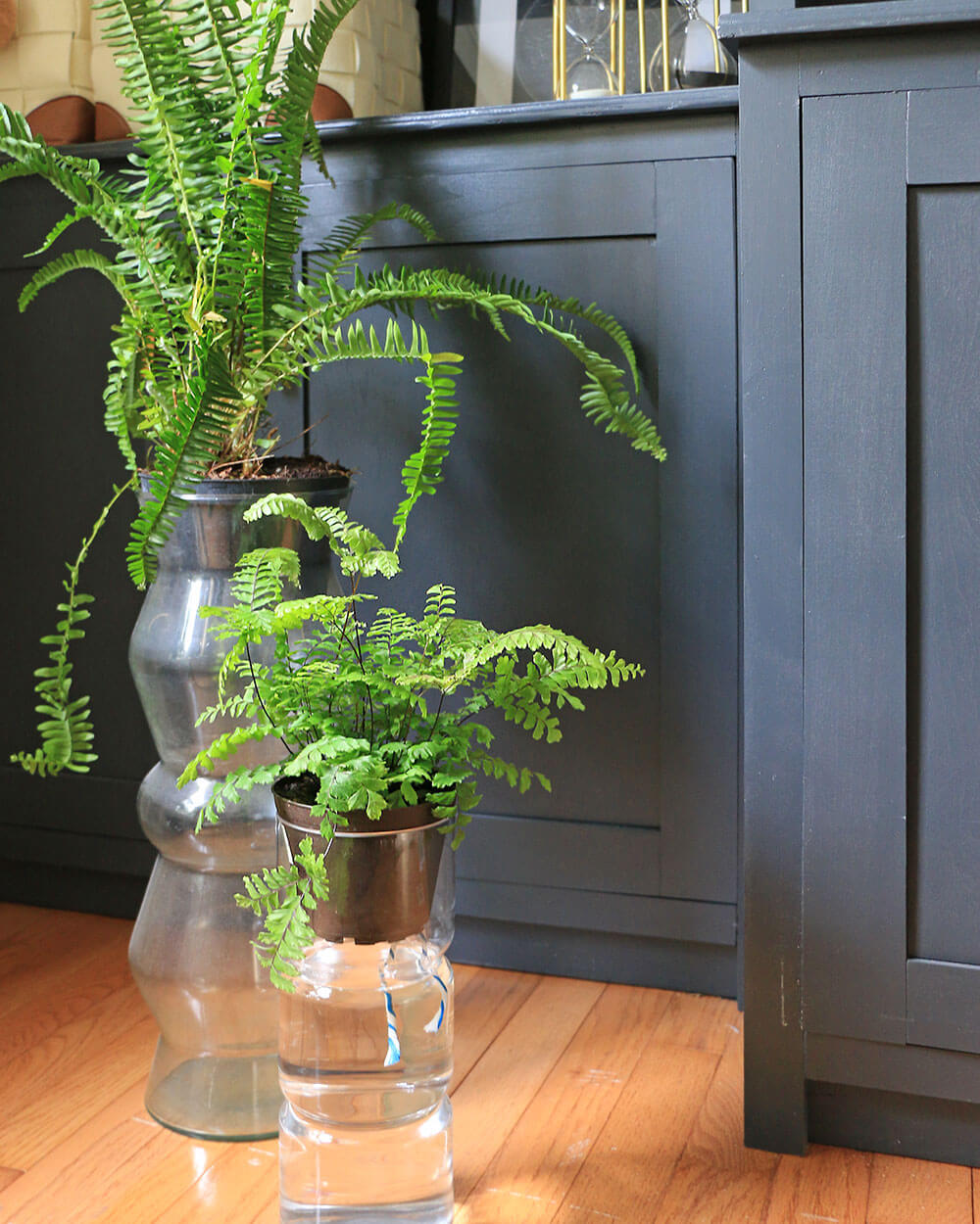 indoor flower pot ideas