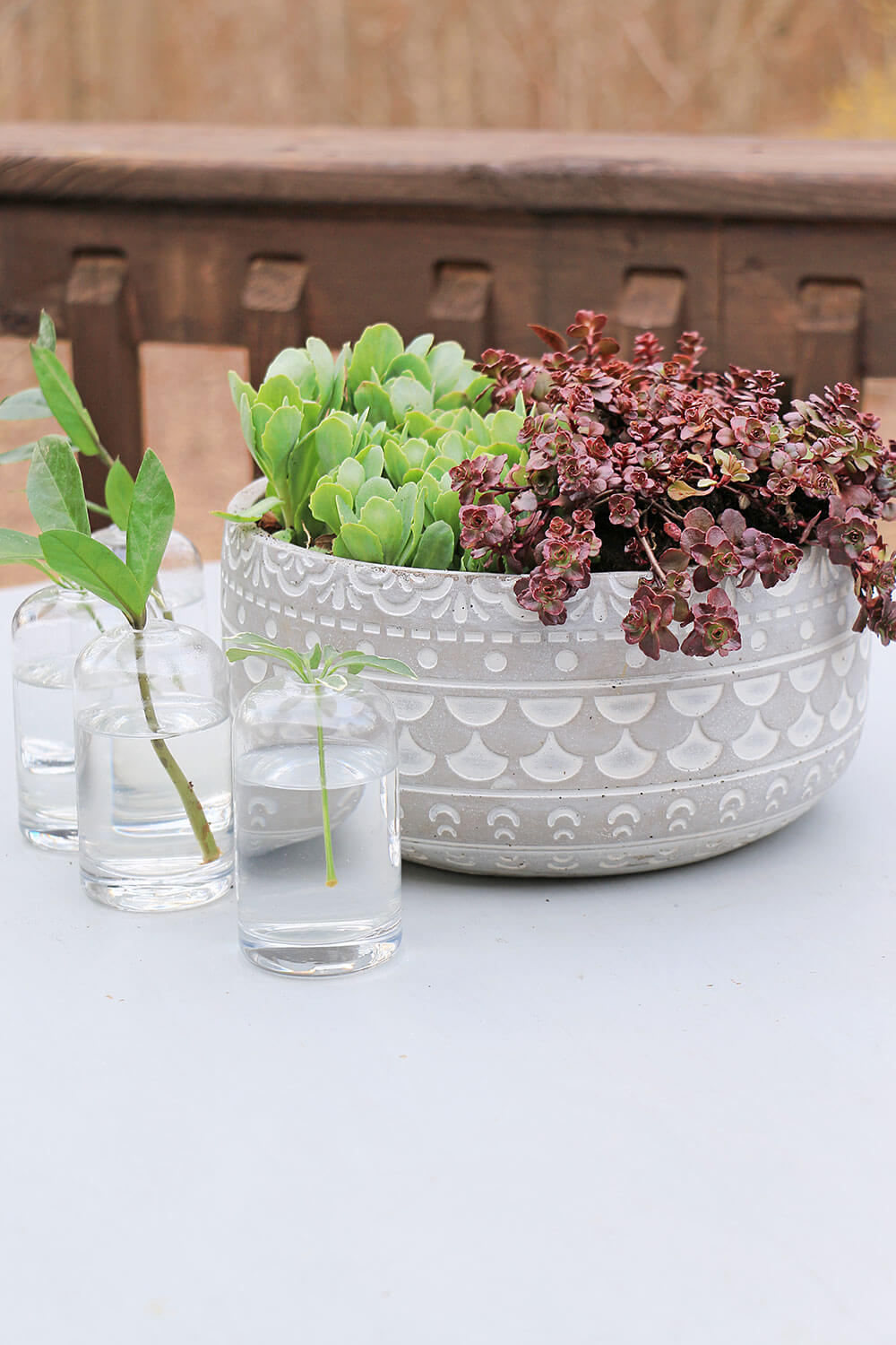 Succulent-Table-centerpiece