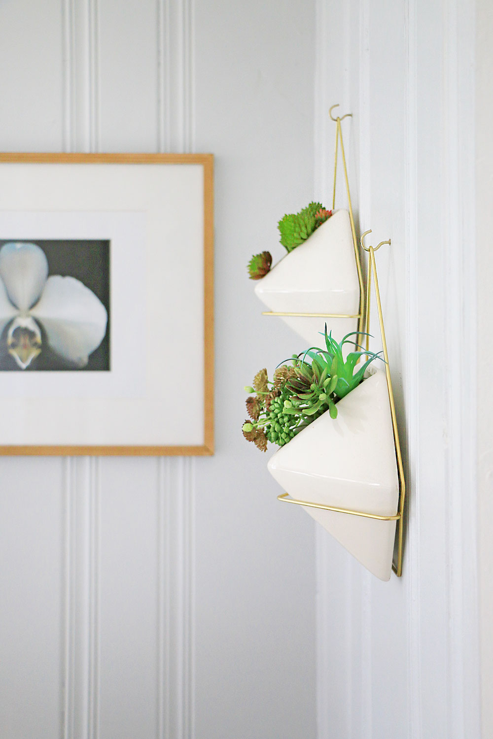 Hanging-wall-planters