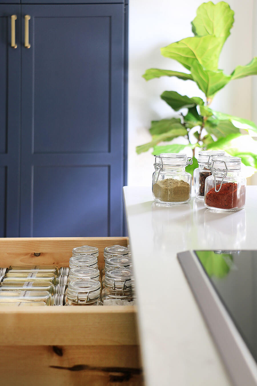 Mini-spice-containers-on-a-counter