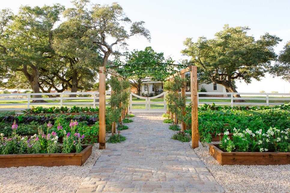 garden with raised beds