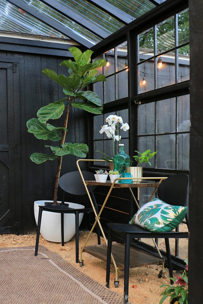 Greenhouse with fiddle leaf fig and bar cart