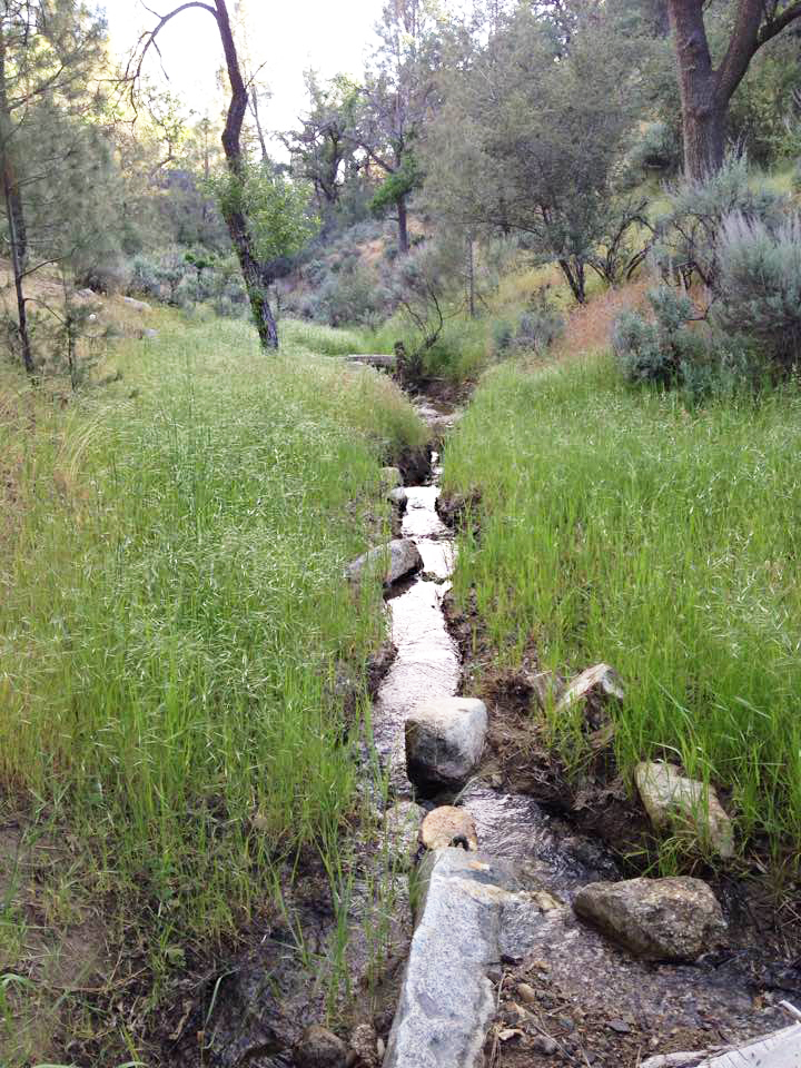 Creek at the artist's mountain home 
