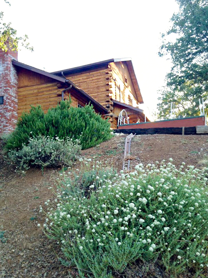 Mountain home log house
