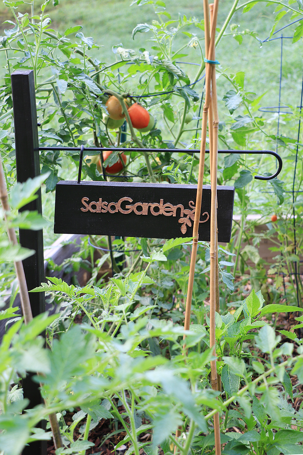 Salsa garden signs