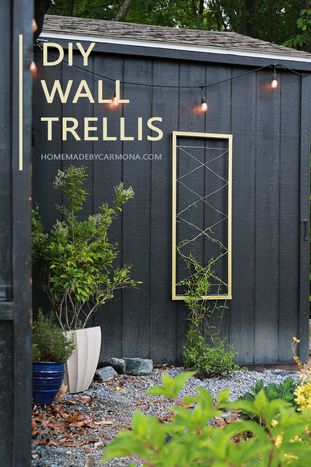 wall trellis attached to shed side