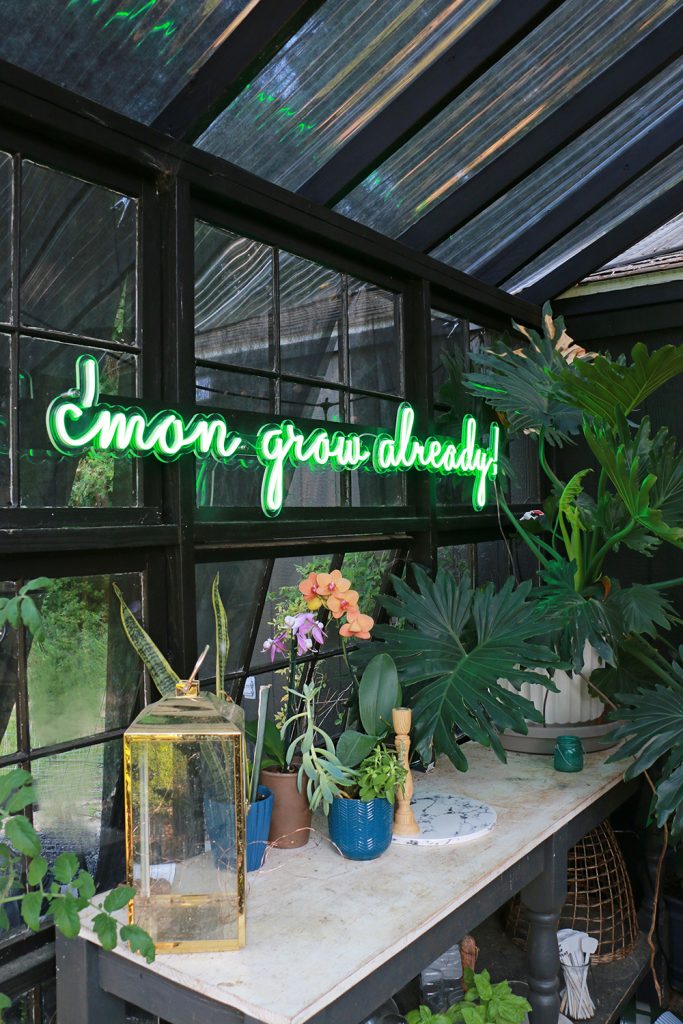 greenhouse neon signs