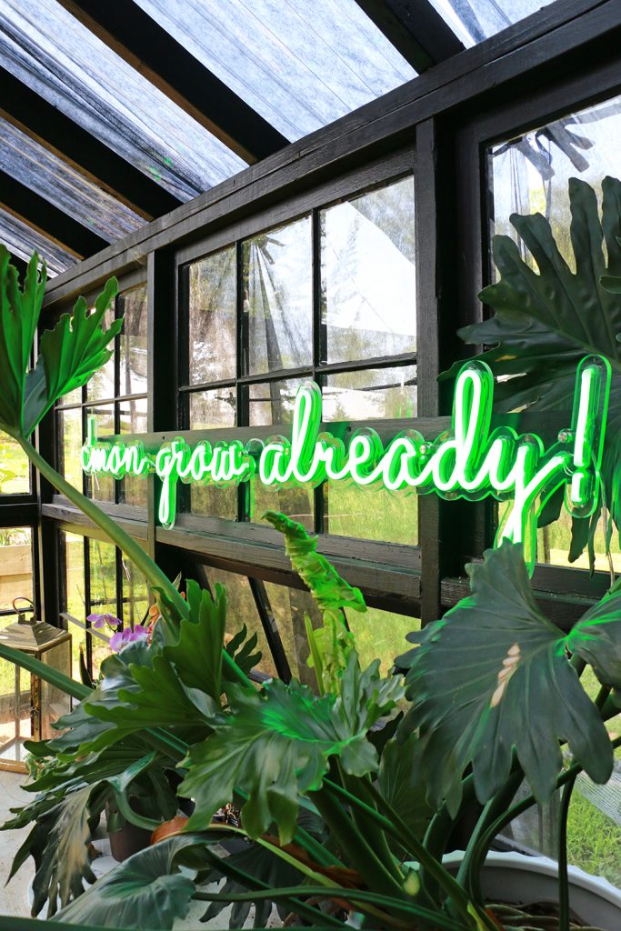 neon signs in a greenhouse
