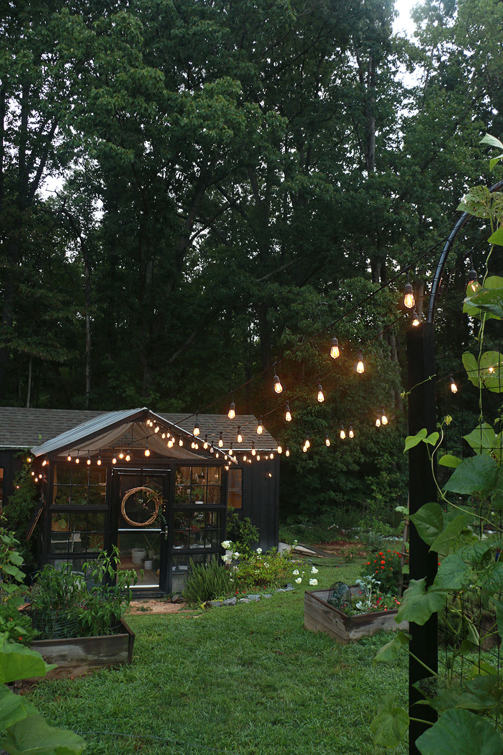 Garden string lights