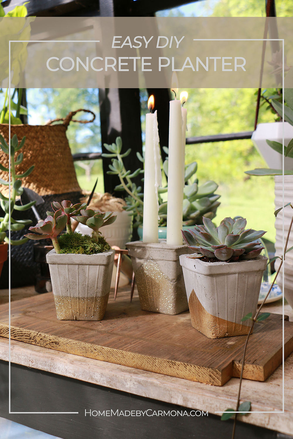 Concrete planters with succulents and concrete candle holder