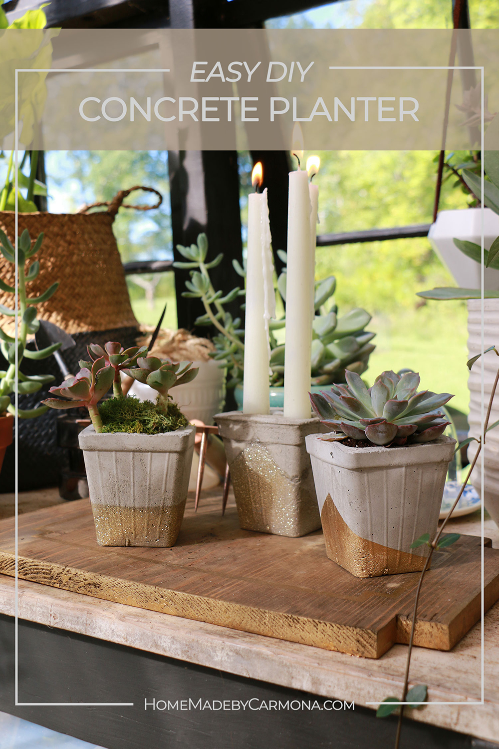 diy concrete planters